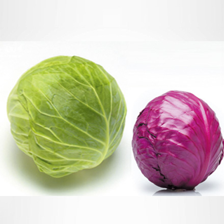 產(chǎn)品中心標(biāo)題五